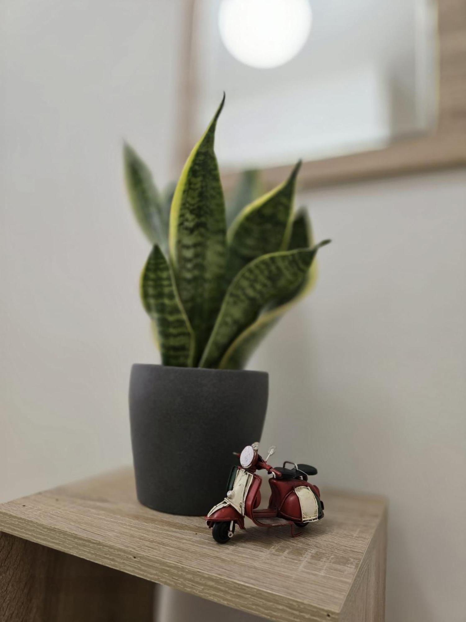 Apartamento Aureum Loft