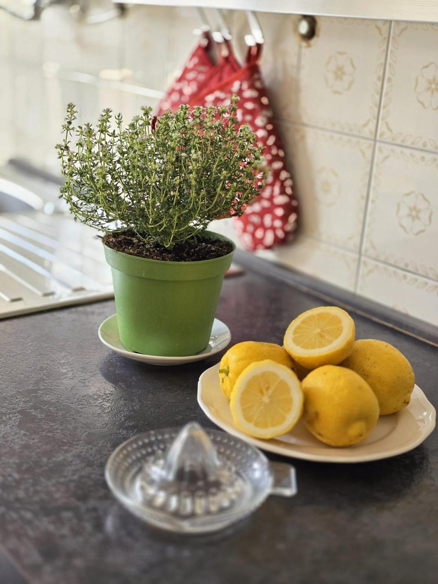 Aureum Loft Roma